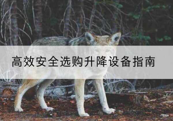 青山湖升降货梯厂家推荐-*安全选购升降设备指南