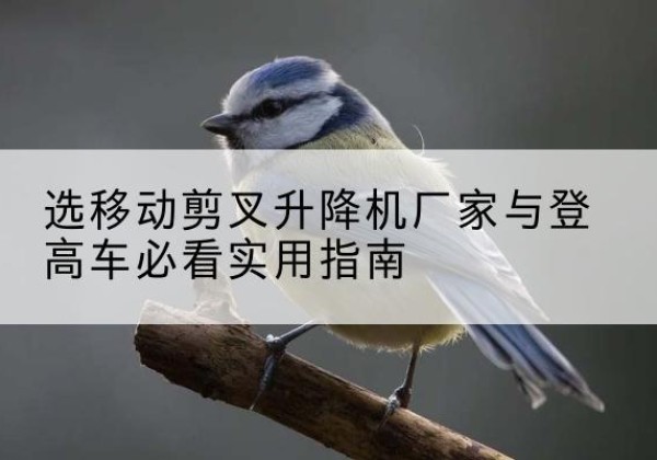 青山湖电动升降机厂家-选移动剪叉升降机厂家与登高车必看实用指南